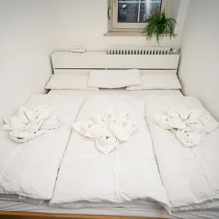 Apartment Pott-alm, Zentrale Grosse Im Herzen Bad Reichenhalls Mit 3 Schlafzimmern *